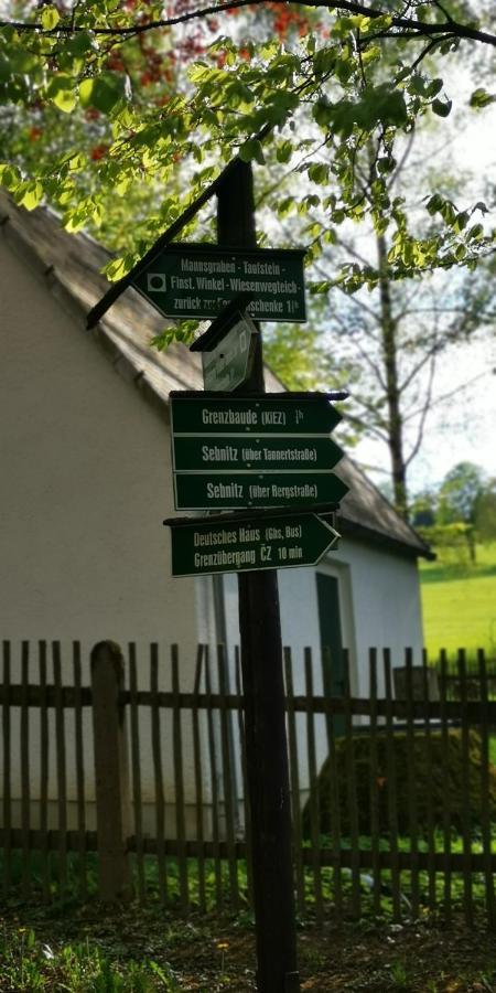 Ferienwohnung Mit Blick Ins Grune Sebnitz Zewnętrze zdjęcie